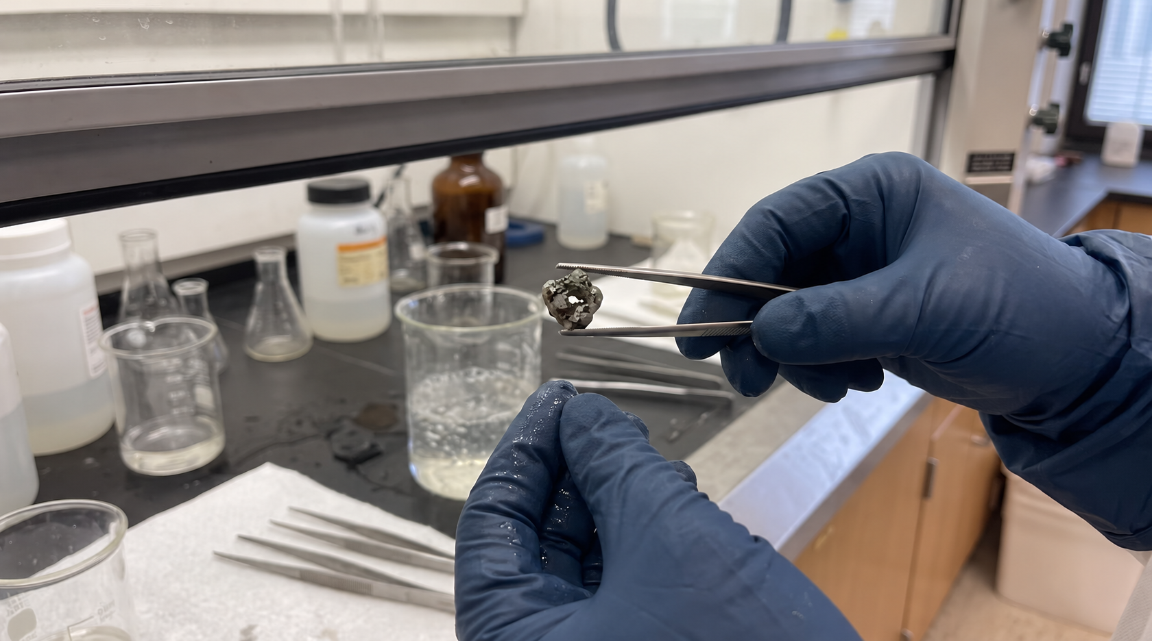 Gloved laboratory worker holding a rough sample with tweezers